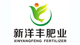 新洋丰