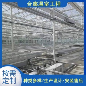 生态玻璃温室设计方案定金 合理配置 适应于不同地域